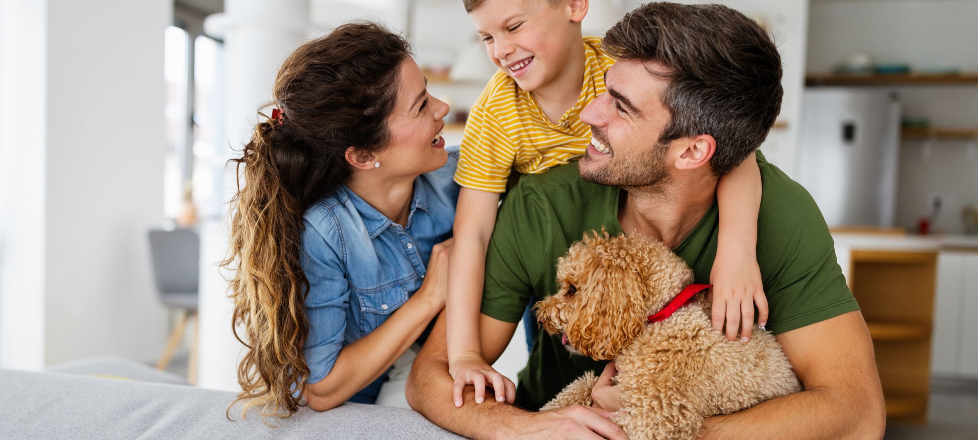 <h1>Beautiful and <br>practical homes <br>inside and out</h1>