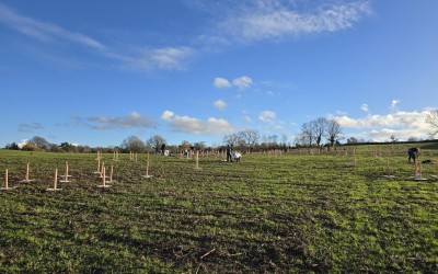 Redcliffe Homes Team Volunteer at Lower Chew Forest