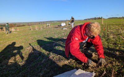 Redcliffe Homes Team Volunteer at Lower Chew Forest
