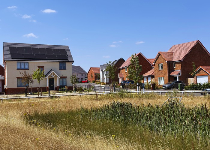 Nup End Meadow, Ashleworth